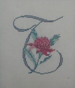 Danico initial T